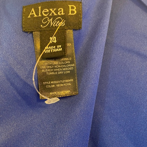 Alexa B Nites Beautiful evening Dress - Picture 12 of 13